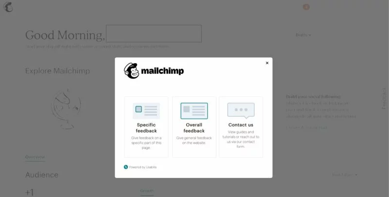 Mailchimp feedback form